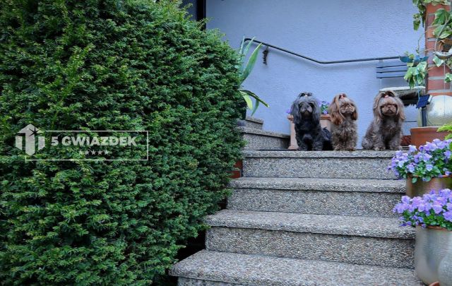 bliźniak, 4 pokoje Szczecinek, ul. gen. Józefa Wybickiego. Zdjęcie 33