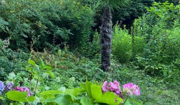 Działka rod Warszawa Mokotów, ul. Racławicka