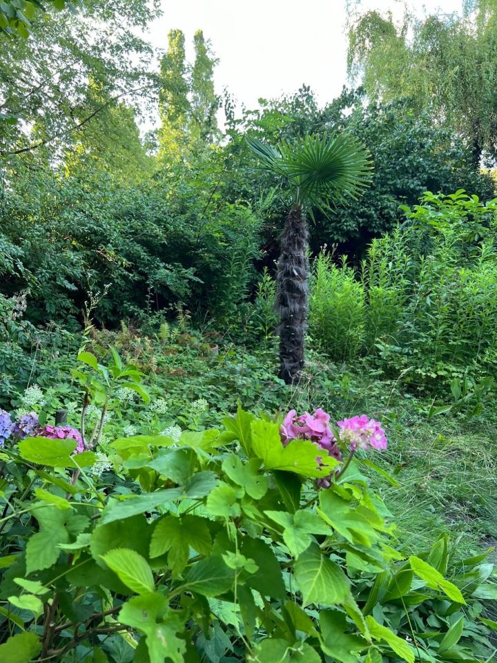 Działka rod Warszawa Mokotów, ul. Racławicka. Zdjęcie 2