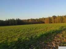 Działka budowlana Zalesie Barcińskie. Zdjęcie 2