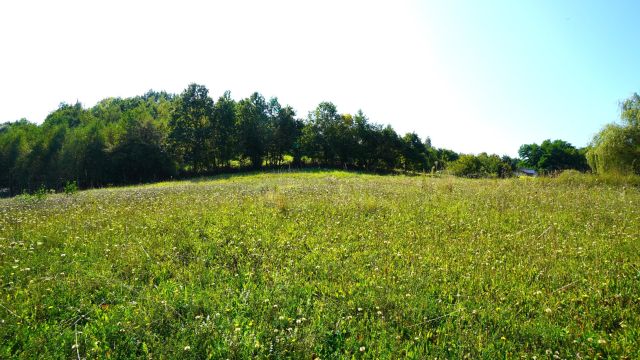 Działka rolno-budowlana Biecz. Zdjęcie 1