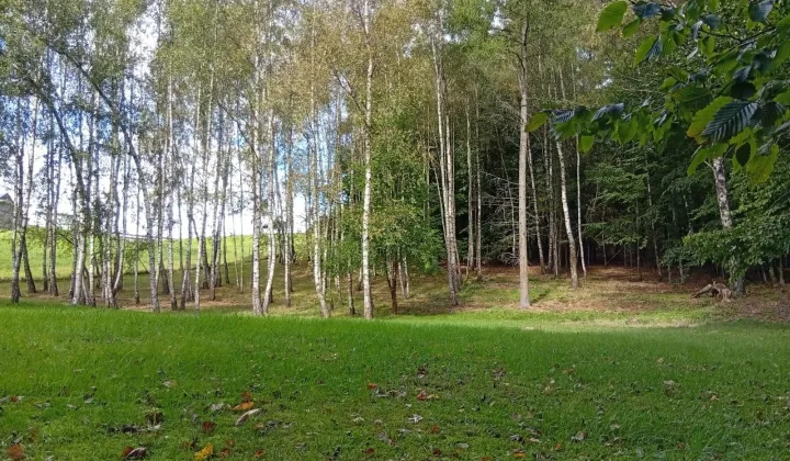 Działka rolno-budowlana Piekło Górne, ul. Dzika