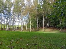 Działka rolno-budowlana Piekło Górne, ul. Dzika