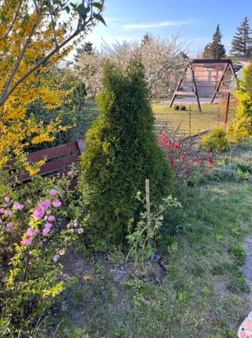 Działka rod Szczecin Pogodno, ul. Hieronima Derdowskiego. Zdjęcie 1