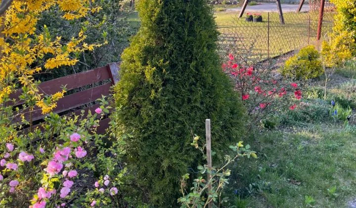 Działka rod Szczecin Pogodno, ul. Hieronima Derdowskiego