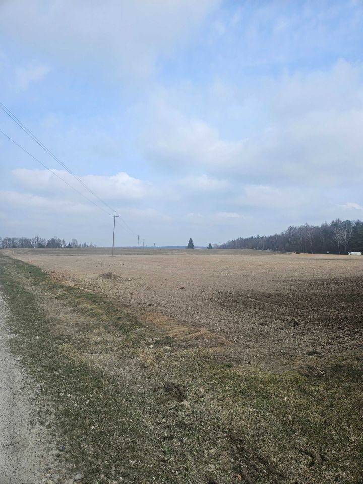 Działka budowlana Wieprzowe Jezioro. Zdjęcie 3