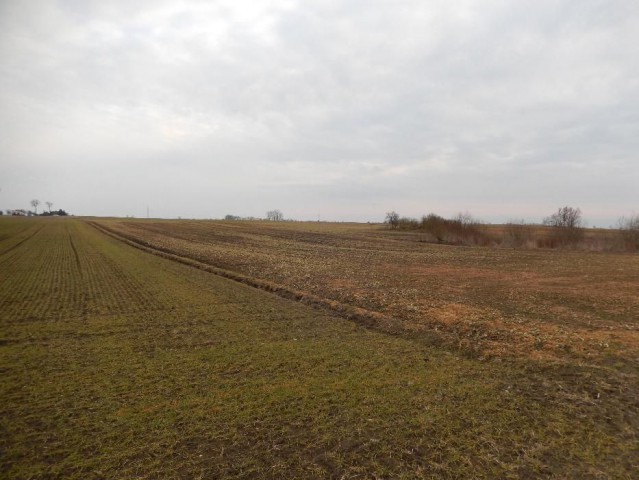 Działka rolna Elzanowo. Zdjęcie 1