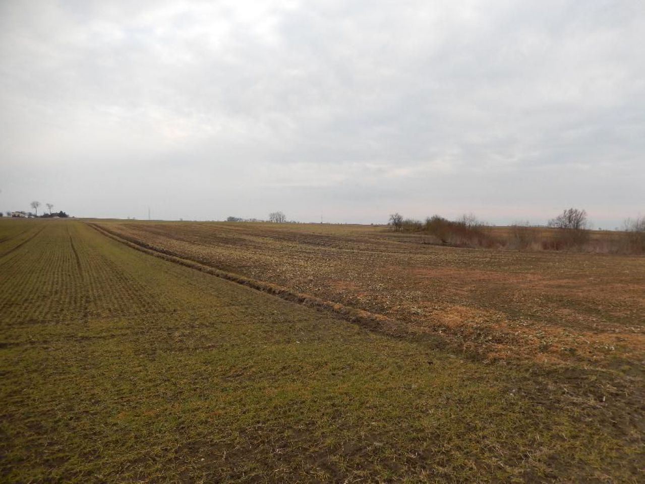 Działka rolna Elzanowo