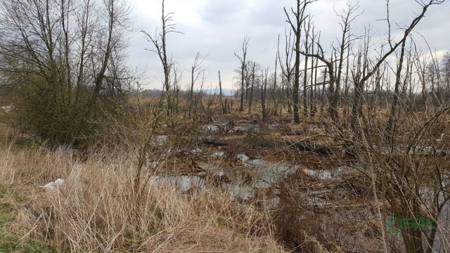 Działka inna Goczałkowice-Zdrój, ul. Stawowa. Zdjęcie 3