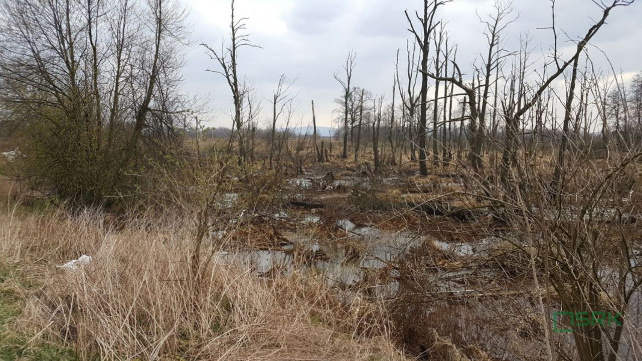 Działka inna Goczałkowice-Zdrój, ul. Stawowa. Zdjęcie 3