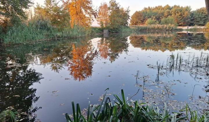 Działka rolna Siedlików