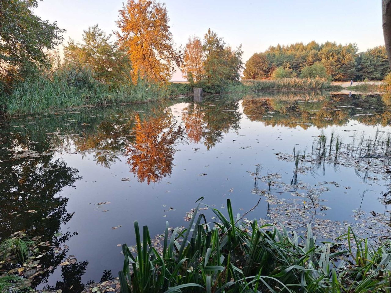 Działka rolna Siedlików. Zdjęcie 1