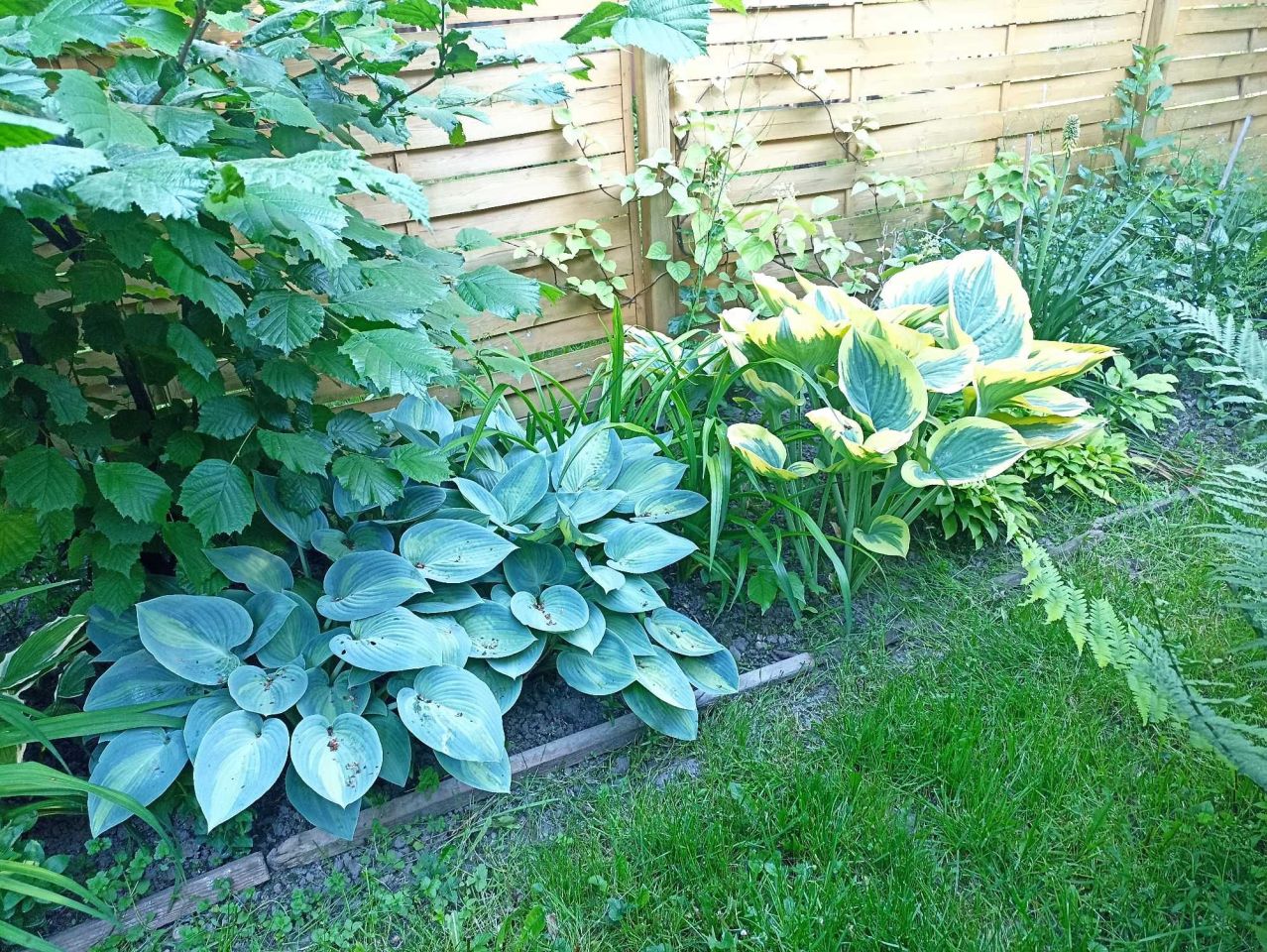 Działka rod Lublin, ul. Działkowa. Zdjęcie 7