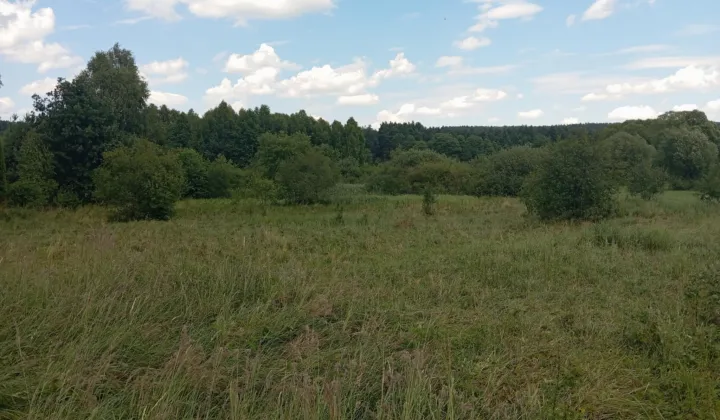 Działka rekreacyjna Bondyrz Mazury