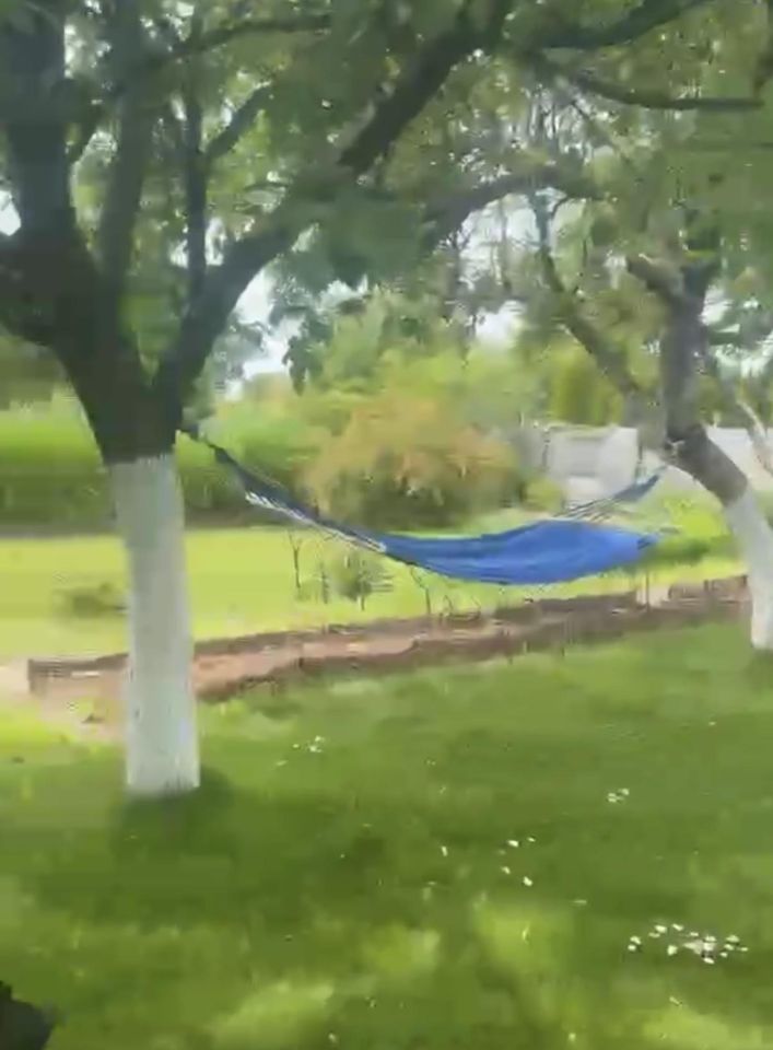 Działka rod Gliwice Wójtowa Wieś, ul. Ku Dołom. Zdjęcie 20