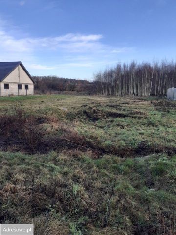 Działka rolno-budowlana Koszalin Raduszka, ul. Łubinów. Zdjęcie 1