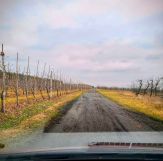 Działka rolna Sobienie Biskupie. Zdjęcie 1