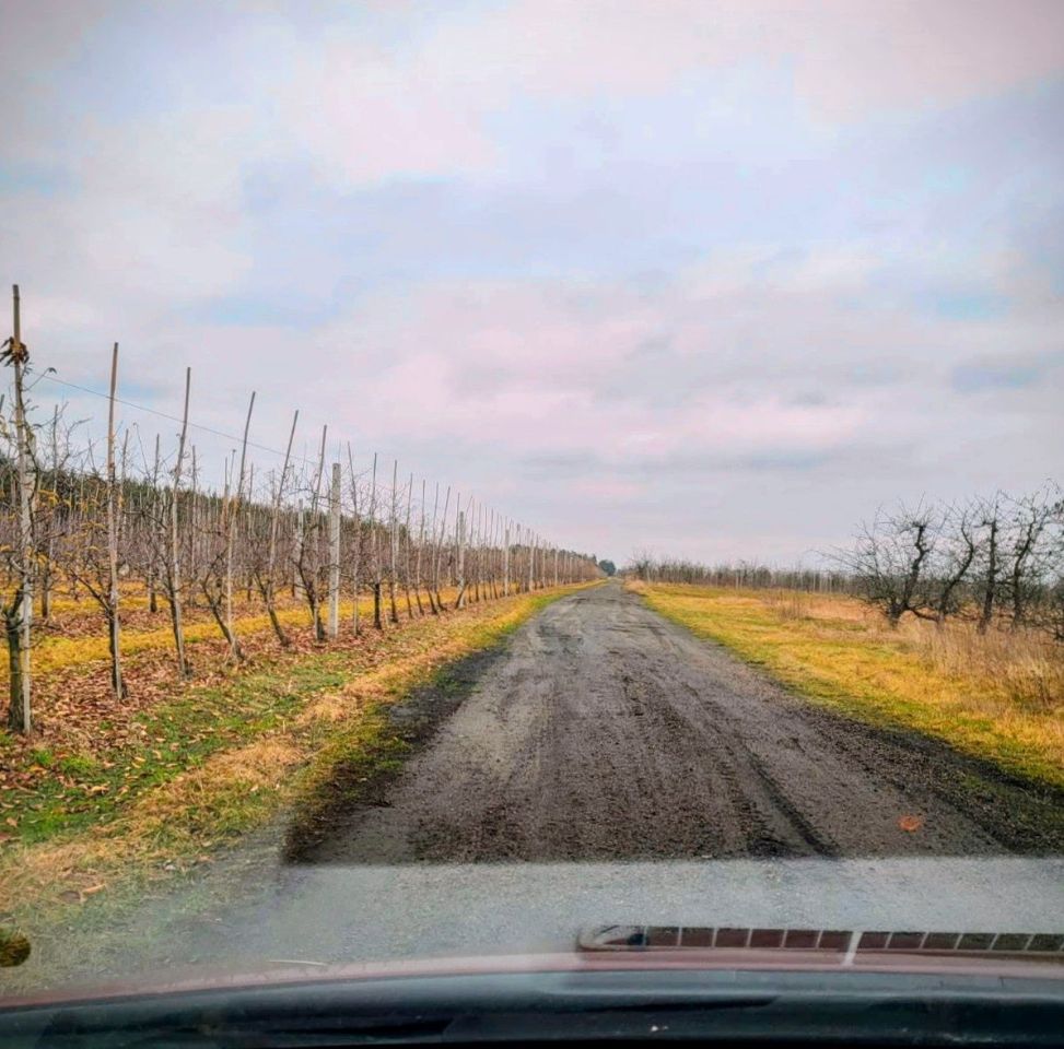 Działka rolna Sobienie Biskupie. Zdjęcie 2