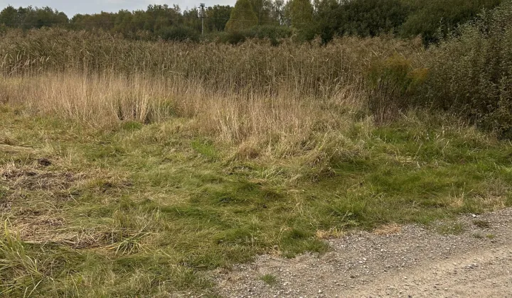 Działka rolno-budowlana Wincentów Zręby