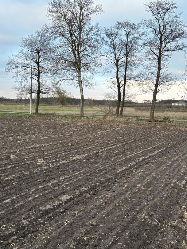 Działka rolno-budowlana Byszewice. Zdjęcie 4