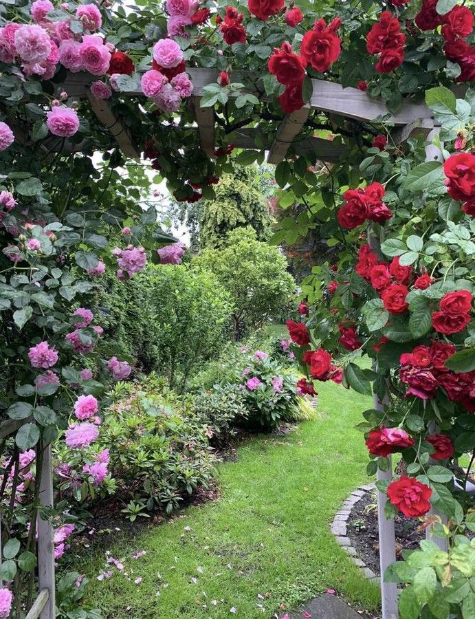 kamienica, 8 pokoi Racibórz, ul. Rudzka. Zdjęcie 10