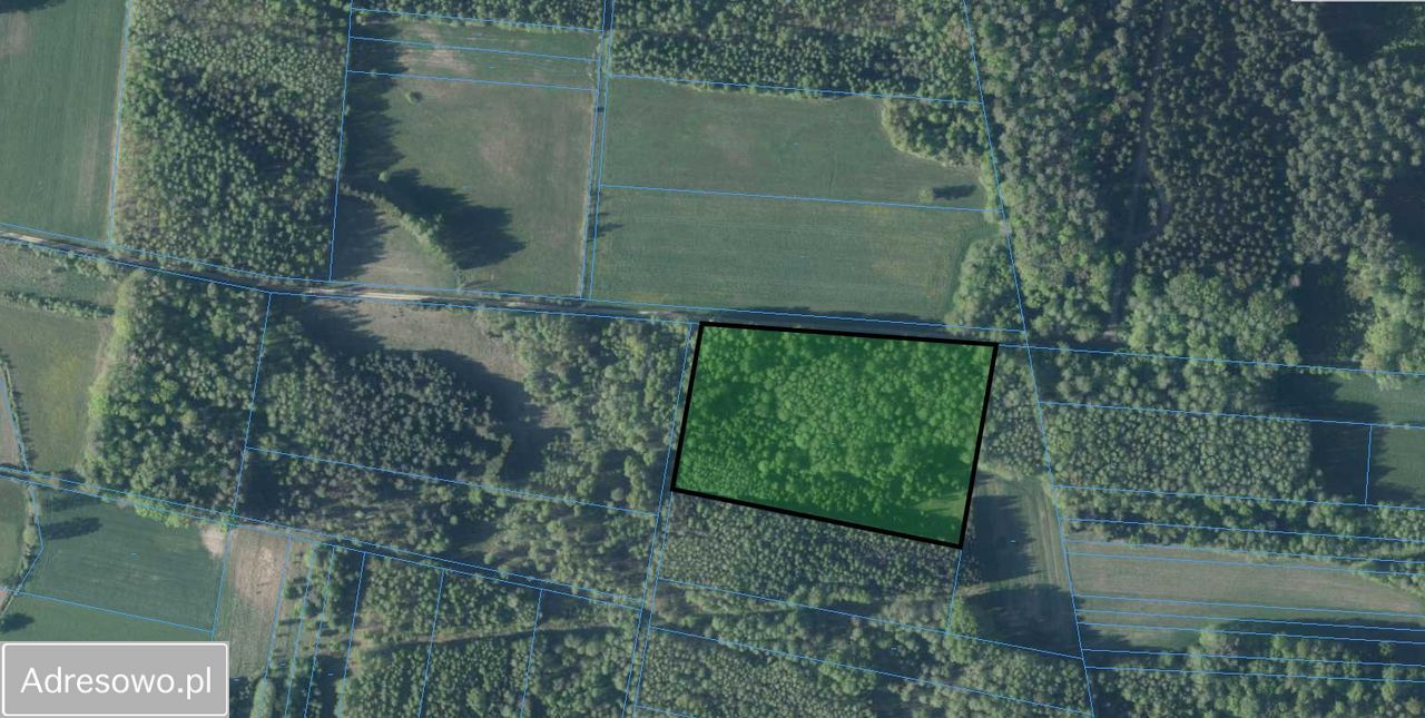 Działka siedliskowa Rudka, ul. Olendzka. Zdjęcie 6