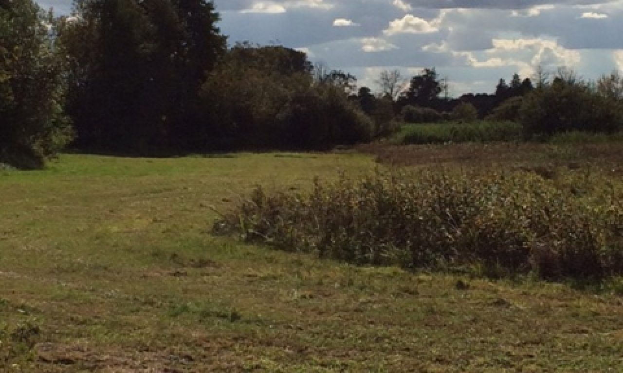 Działka rekreacyjna Ponikiew. Zdjęcie 8