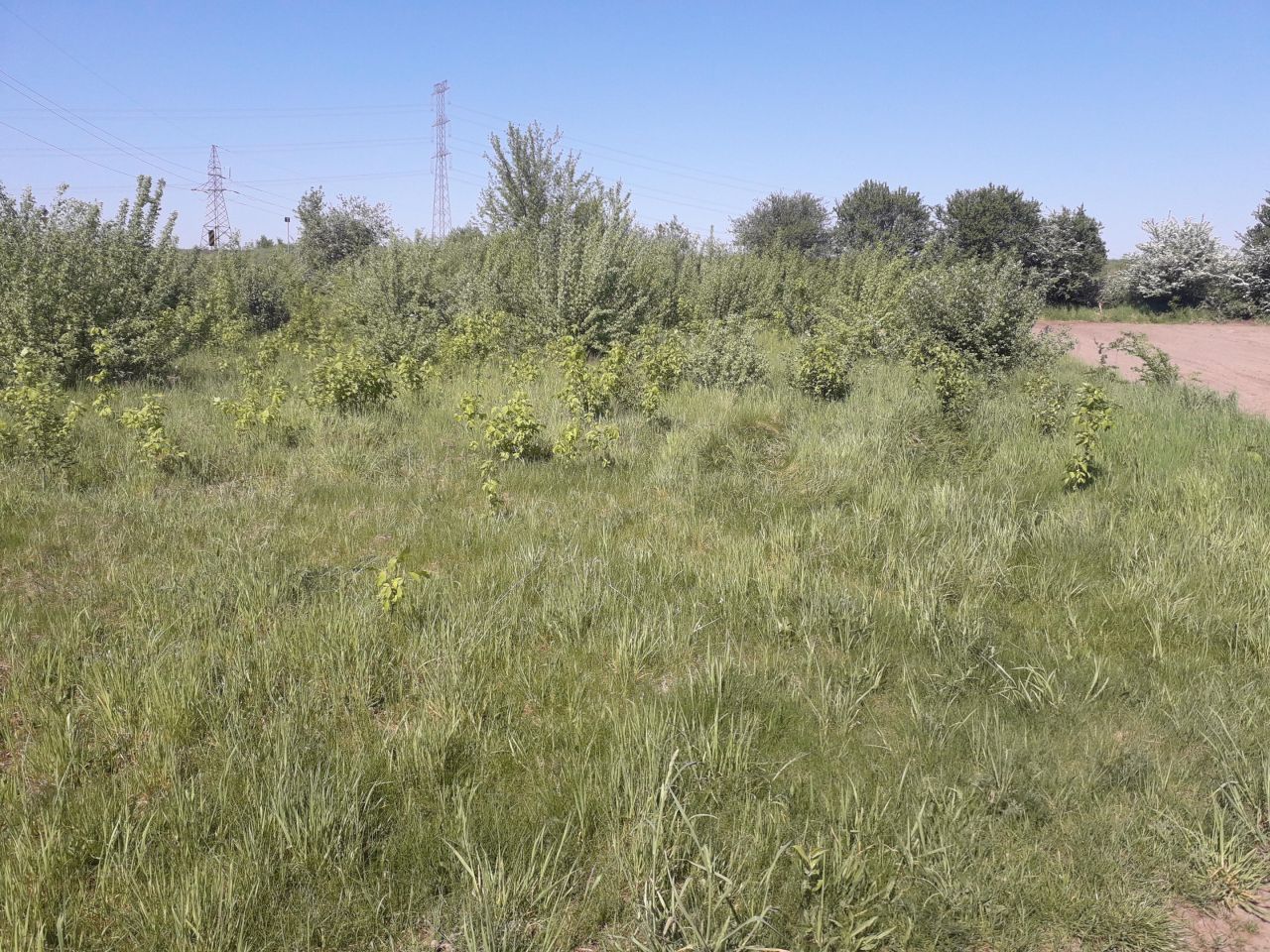 Działka rolna Ponikiew Mała. Zdjęcie 9