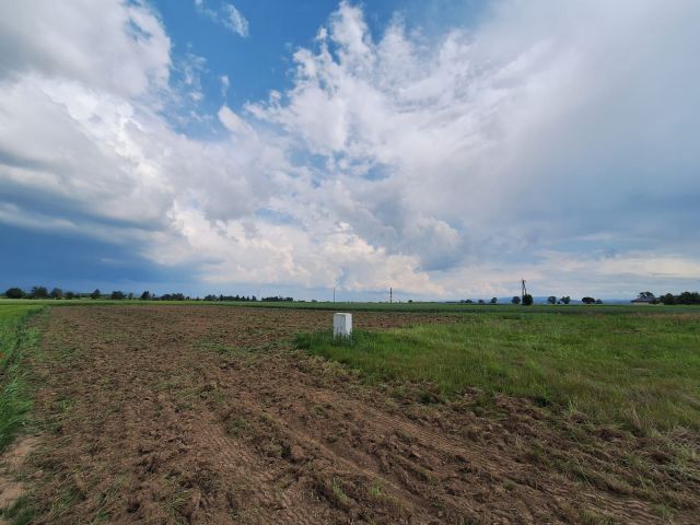 Działka rolno-budowlana Tomkowa. Zdjęcie 1