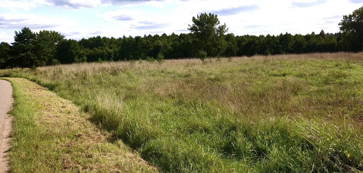 Działka budowlana Kotowina Ruda. Zdjęcie 3