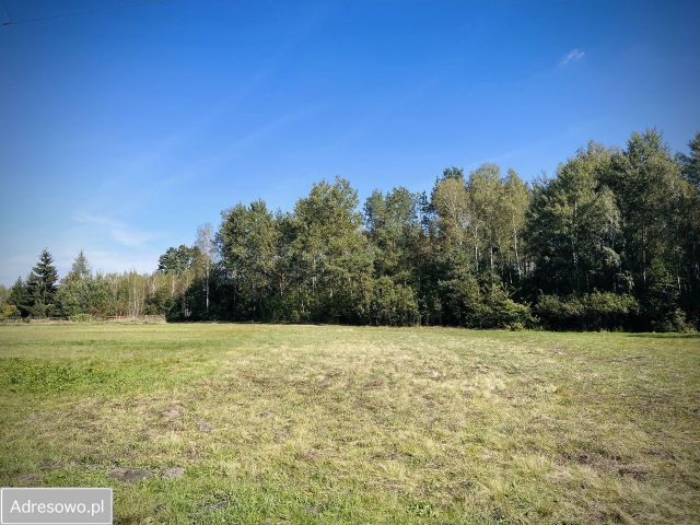 Działka budowlana Okuninka. Zdjęcie 1