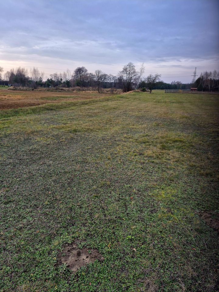 Działka rekreacyjna Kępa Niemojewska. Zdjęcie 7
