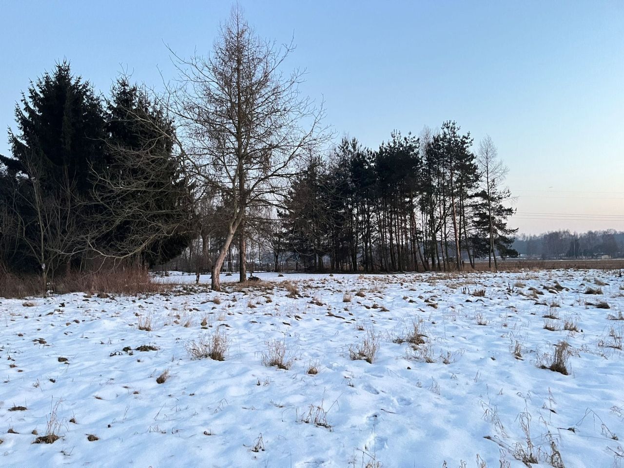 Działka budowlana Stawy Monowskie. Zdjęcie 2