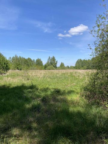 Działka rolna Staropole. Zdjęcie 1