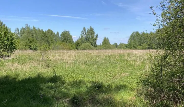 Działka rolna Staropole