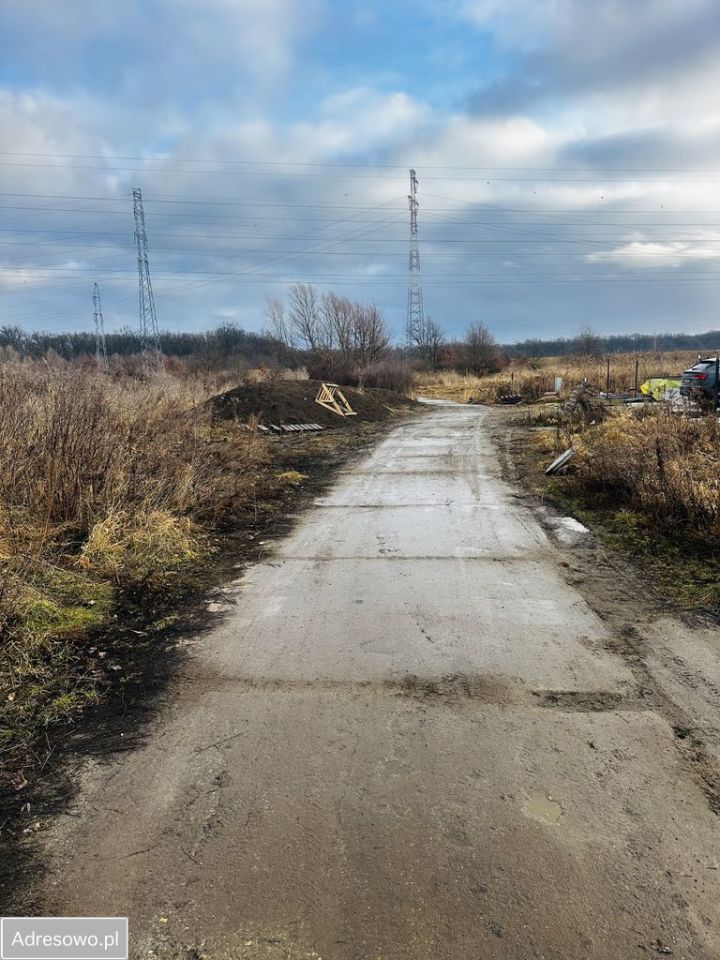 Działka leśna Siechnice. Zdjęcie 5