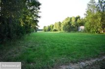 Działka inwestycyjna Nowa Bukówka. Zdjęcie 3