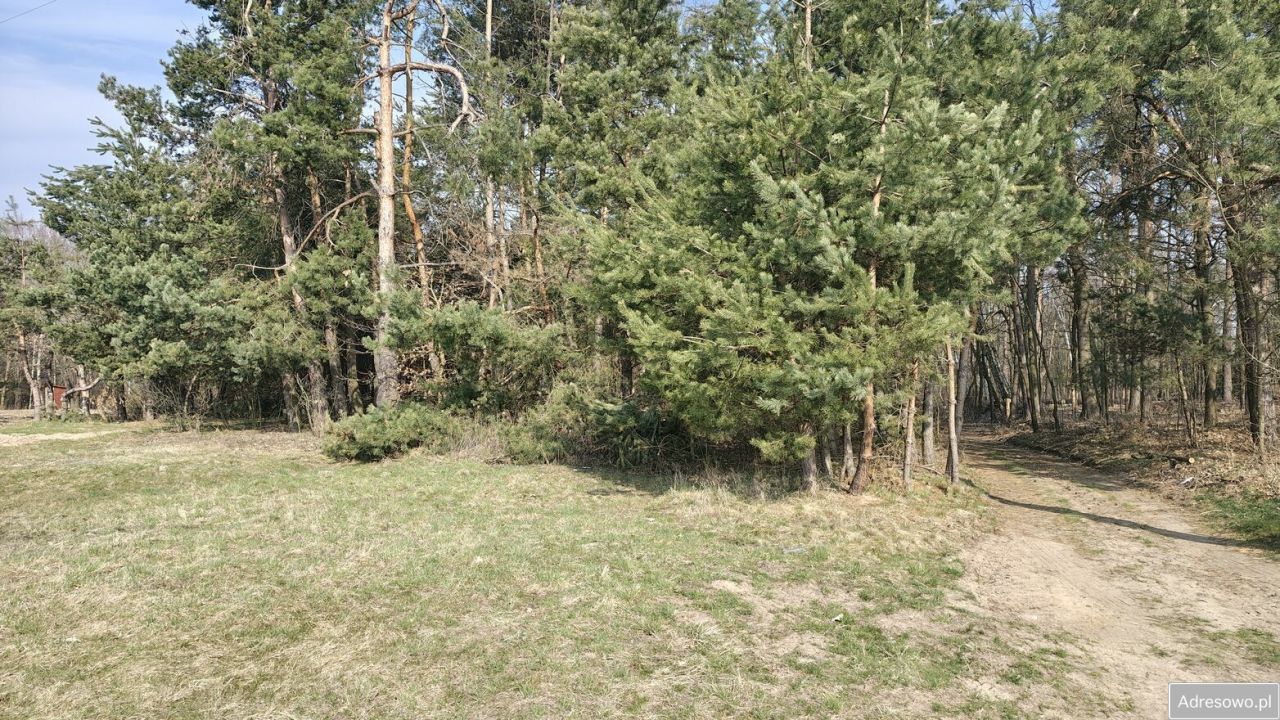 Działka siedliskowa Pogórska Wola. Zdjęcie 7