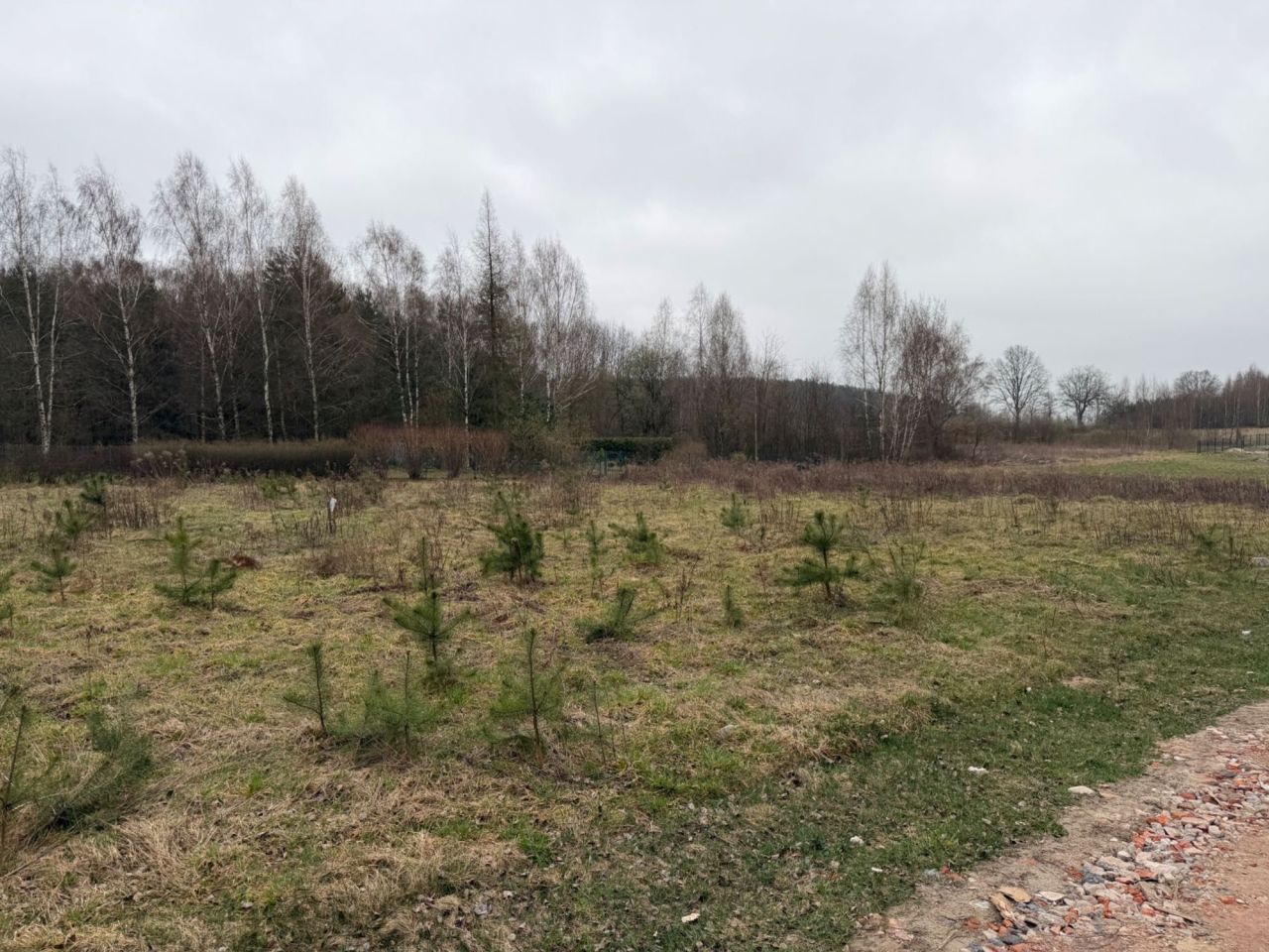 Działka budowlana Zofiówka. Zdjęcie 4