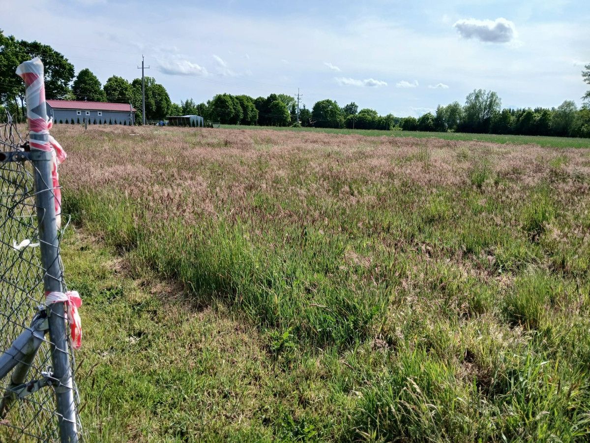 Działka budowlana Sierosław. Zdjęcie 2