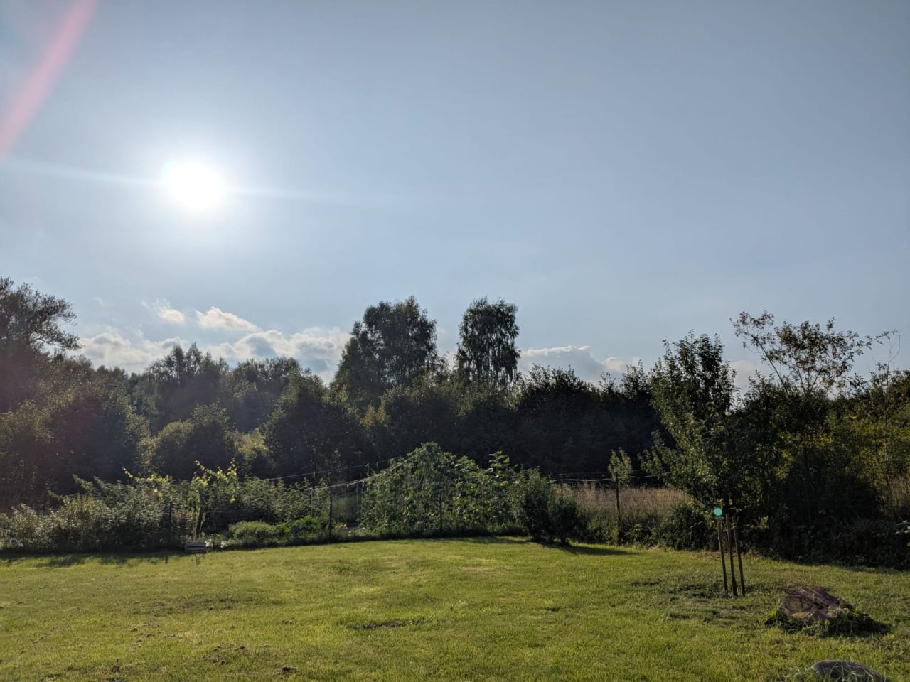 Działka budowlana Radomia Orzewo. Zdjęcie 12