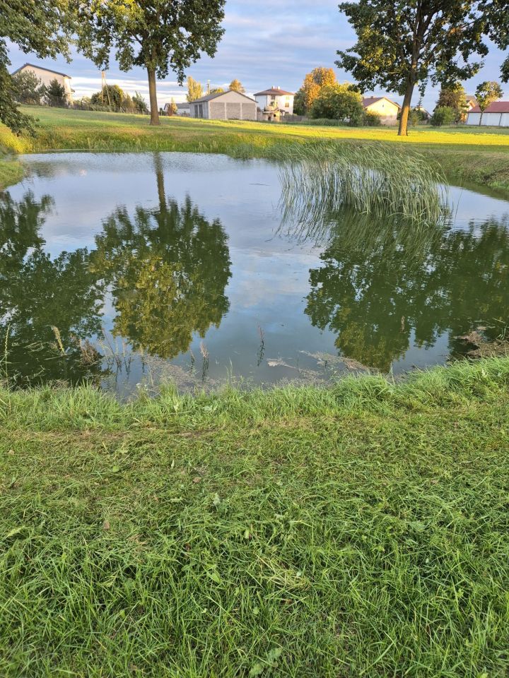 Działka rolna Żarnowo. Zdjęcie 8