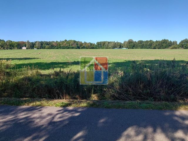 Działka rolna Zaborów Nowy. Zdjęcie 3