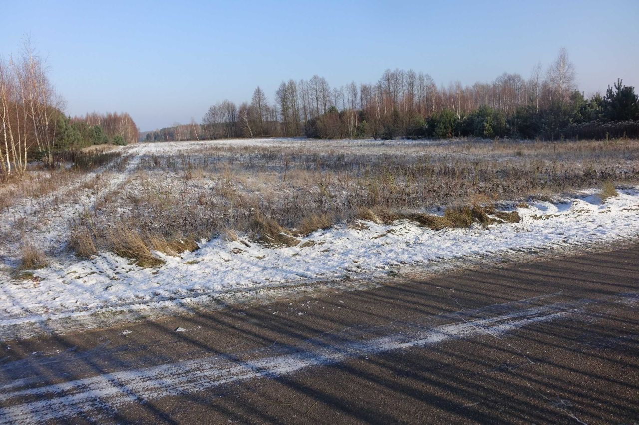 Działka rolno-budowlana Kamieniec. Zdjęcie 4