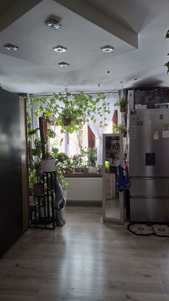 Mieszkanie 1-pokojowe Rybnik Boguszowice, ul. Patriotów. Zdjęcie 2