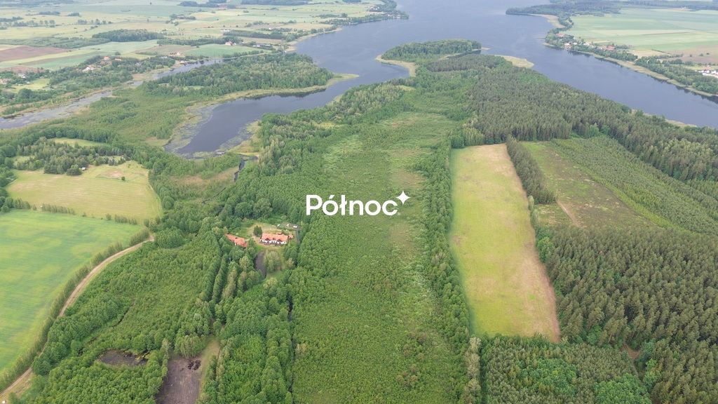 Działka leśna Makosieje. Zdjęcie 4
