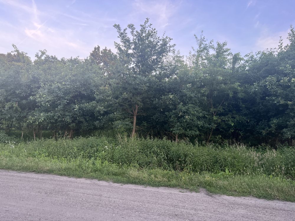 Działka budowlana Wypaleniska. Zdjęcie 2