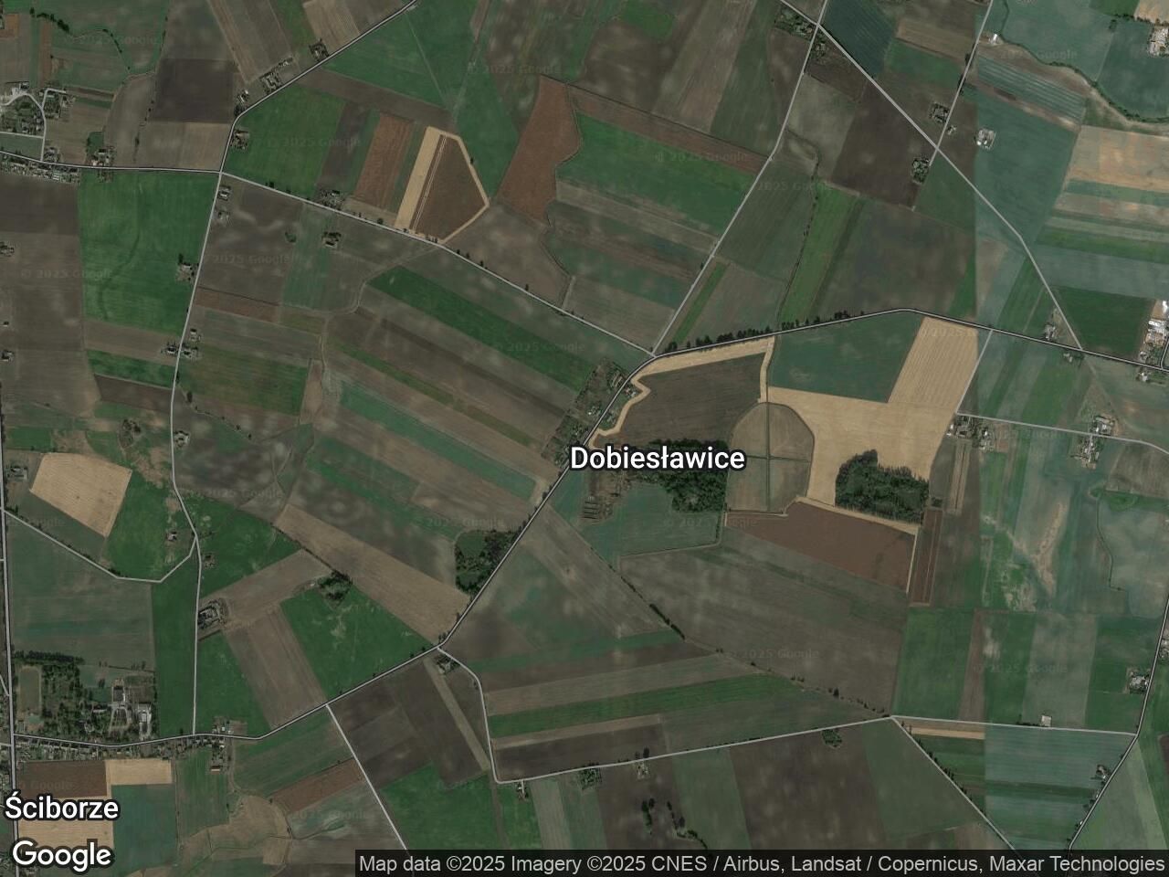 dom szeregowy, 6 pokoi Dobiesławice