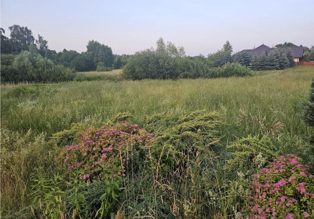 dom wolnostojący, 4 pokoje Wilkasy, ul. Lipowa. Zdjęcie 11