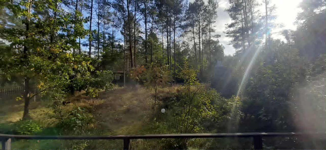 Działka siedliskowa Olpuch. Zdjęcie 19